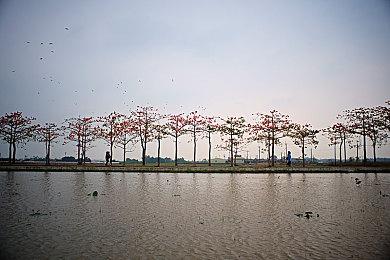 《英雄联盟手游》全球收入达5亿美元 中国玩家占7成